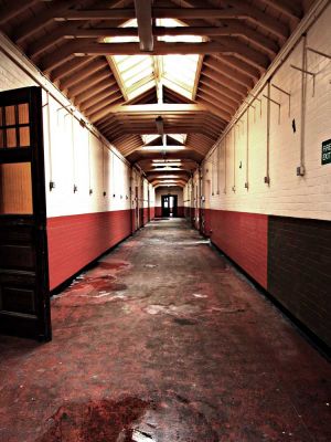 Kitchen corridor